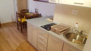 Апартаменты Studio Apartment Жабляк Апартаменты с 1 спальней-8